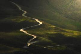 Life line (Ali Memari) - Muzeo.com