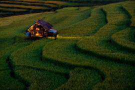 Light in Home (Sarawut Intarob) - Muzeo.com