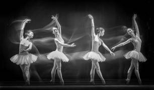 Like the Wind (Angela Muliani Hartojo) - Muzeo.com