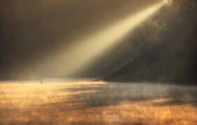 Lonely under the dawn (Nguyen Tan Tuan) - Muzeo.com