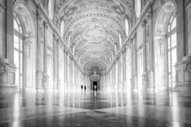 Lost in the light (Aida Ianeva) - Muzeo.com