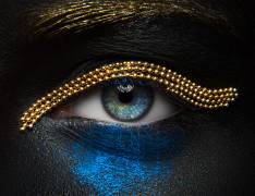 Macro beauty (Alex Malikov) - Muzeo.com