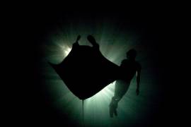 Manta ray and freediver, Raja Ampat, West Papua, Indonesia (Ethan Daniels) - Muzeo.com