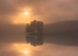 Mirror (Christian Lindsten) - Muzeo.com