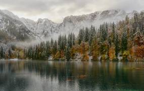 Misty autumn day (Ales Krivec) - Muzeo.com