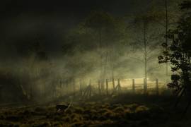 Misty Morning (Nunu Rizani) - Muzeo.com