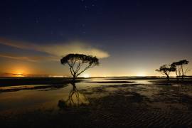 Moonrise (Mel Brackstone) - Muzeo.com