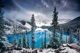 Morning blues (Trevor Cole) - Muzeo.com