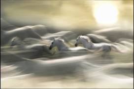 Morning dream (Milan Malovrh) - Muzeo.com