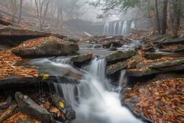 Morning Fog (Nick Kalathas) - Muzeo.com