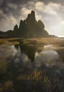 Morning Glory (Yan Zhang) - Muzeo.com