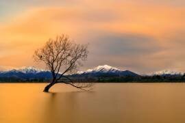 Morning glow of the Lake Wanaka (Hua Zhu) - Muzeo.com