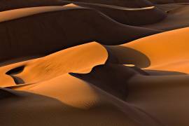 Morning Light (Mohammadreza Momeni) - Muzeo.com