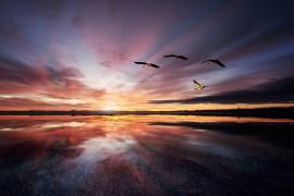 Morning mood.. (Leif Londal) - Muzeo.com
