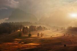 Morning on alpine meadow (Daniel Řeřicha) - Muzeo.com
