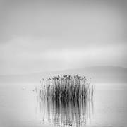 Morning Silence (George Digalakis) - Muzeo.com