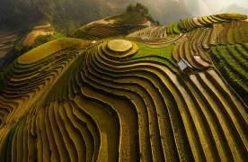 Mu cang chai - vietnam (Dao Tan Phat) - Muzeo.com