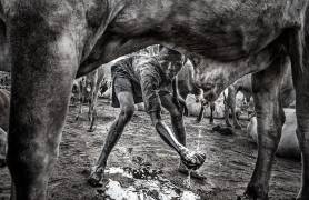 Mundari child collecting urine to wash his face - South Sudan (Joxe Inazio Kuesta) - Muzeo.com