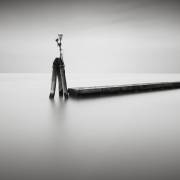 Muted (Ronny Behnert) - Muzeo.com