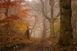 My autumn walk (Leif Londal) - Muzeo.com