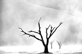 Namibia: The Spirit of Wilderness (Gina Buliga ) - Muzeo.com