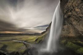 Nature Study (Bragi Ingibergsson) - Muzeo.com