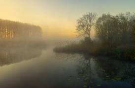 Nature's Painting (Ellen Borggreve) - Muzeo.com