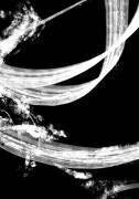 Negatives 006 tapestry (1x Studio II) - Muzeo.com