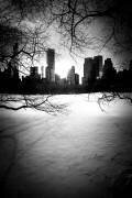 New York City Winter Skyline Nº2 (Guilherme Pontes) - Muzeo.com