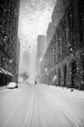 New York Walker in Blizzard (Martin Froyda) - Muzeo.com