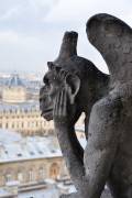 Notre Dame Gargoyle (anonymous) - Muzeo.com