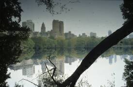 NYC Mythical City : reflections in Central park in Autumn (Véronique Durruty) - Muzeo.com