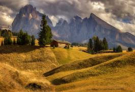 On a mountain meadow (Martin Kucera) - Muzeo.com