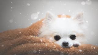 One day in winter (Lienjp) - Muzeo.com