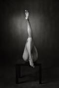 One Up, One Down (Catchlight Studio) - Muzeo.com