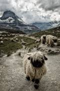 Out of my way (Susanne Landolt) - Muzeo.com