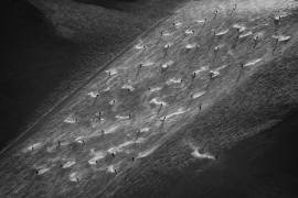 Out of the mainstream.. (Peter Svoboda MQEP) - Muzeo.com