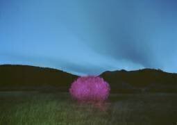Painting in the Dark (Carli Choi) - Muzeo.com
