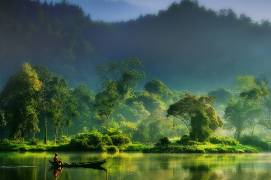 Painting of  Nature (Hardibudi) - Muzeo.com