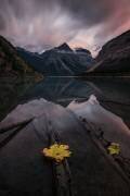 Peaceful (Lydia Jacobs) - Muzeo.com