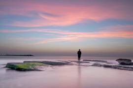 Pink dreams (Ron Segal) - Muzeo.com