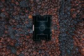Playing in the forest (Carmine Chiriaco) - Muzeo.com
