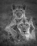 Playtime with Mama ! (Ali Khataw) - Muzeo.com