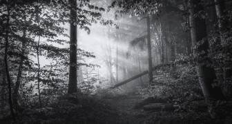 Point of no return... (Norbert Maier) - Muzeo.com