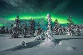 Polar night (Raymond Hoffmann) - Muzeo.com