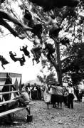 Portugal, Festival (Hervé Gloaguen) - Muzeo.com