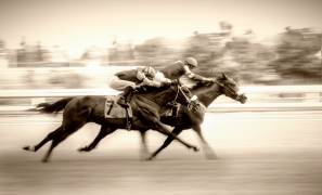 Racing (little7) - Muzeo.com