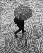 Rainy day patterns on the Embarcadero (Robin Wechsler) - Muzeo.com
