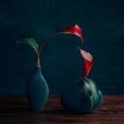 Red Calla Lilies (Mia Meng) - Muzeo.com