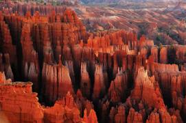 Red City (Austin Li) - Muzeo.com